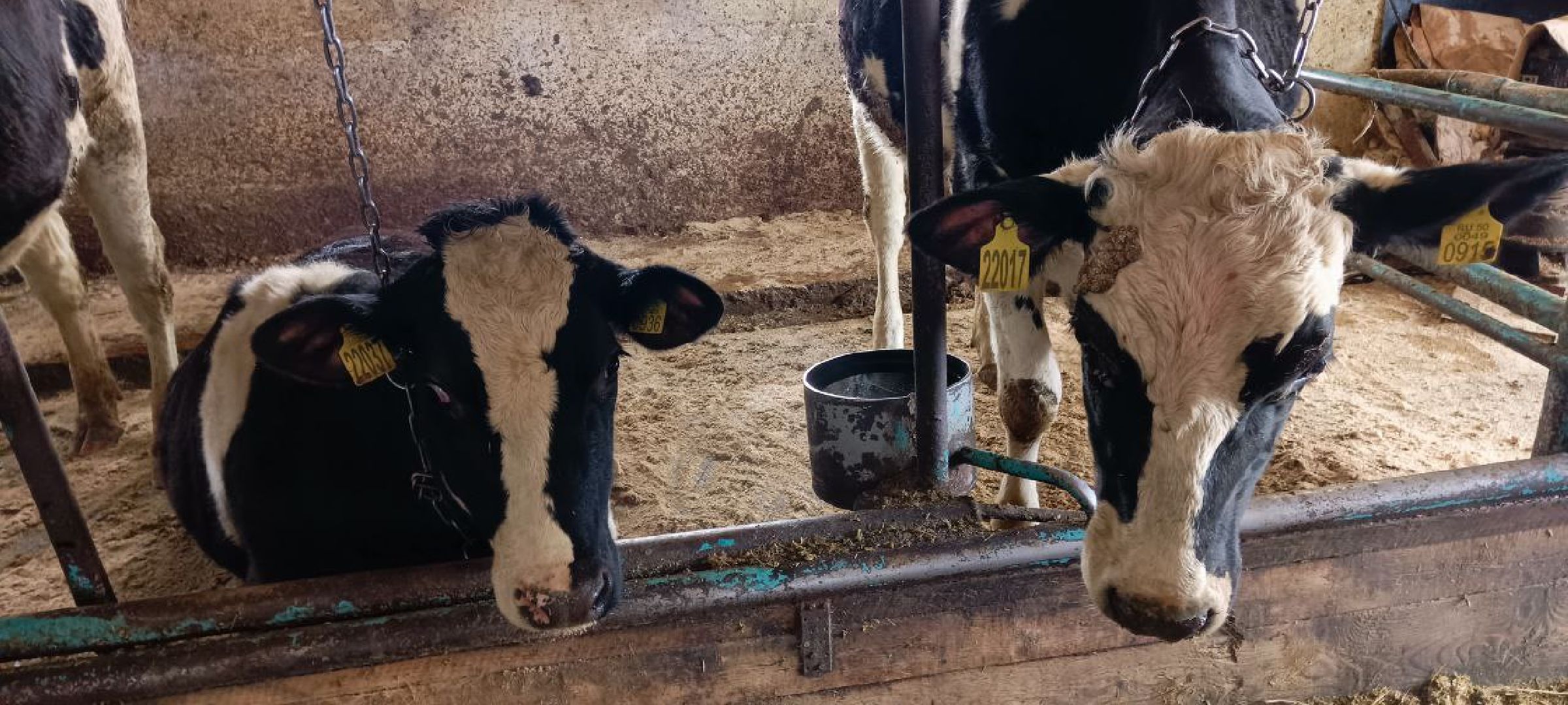 Дмитров, Агрофирма Дубна плюс, Минсельхоз,