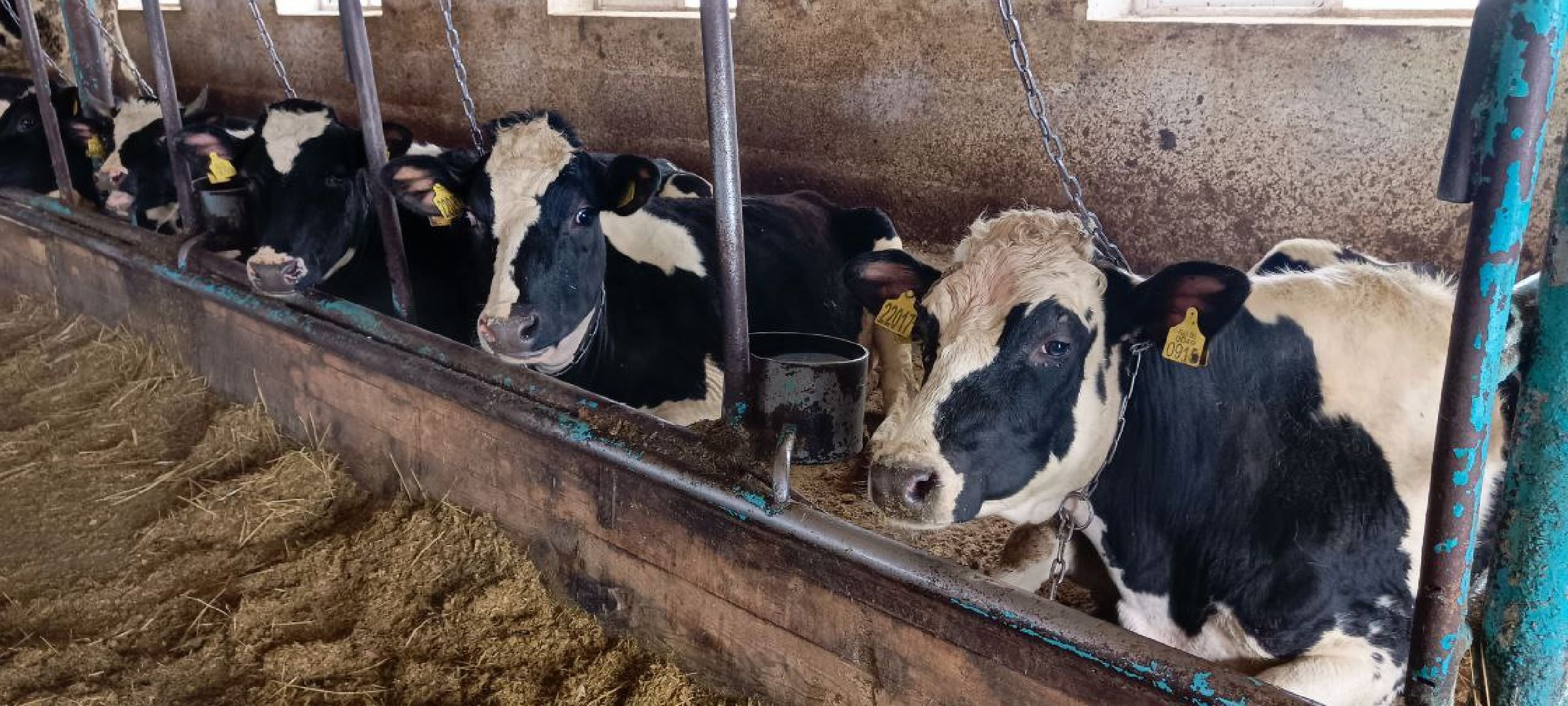 Дмитров, Агрофирма Дубна плюс, Минсельхоз,