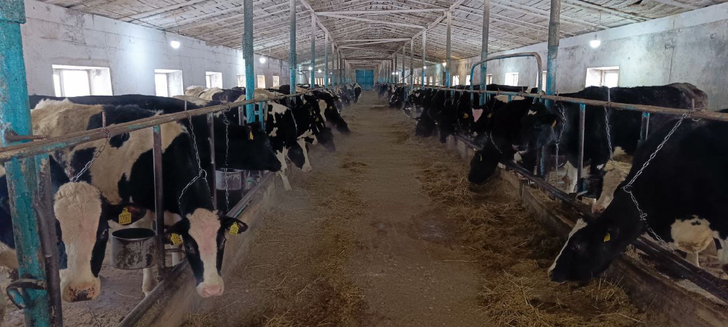 Дмитров, Агрофирма Дубна плюс, Минсельхоз,