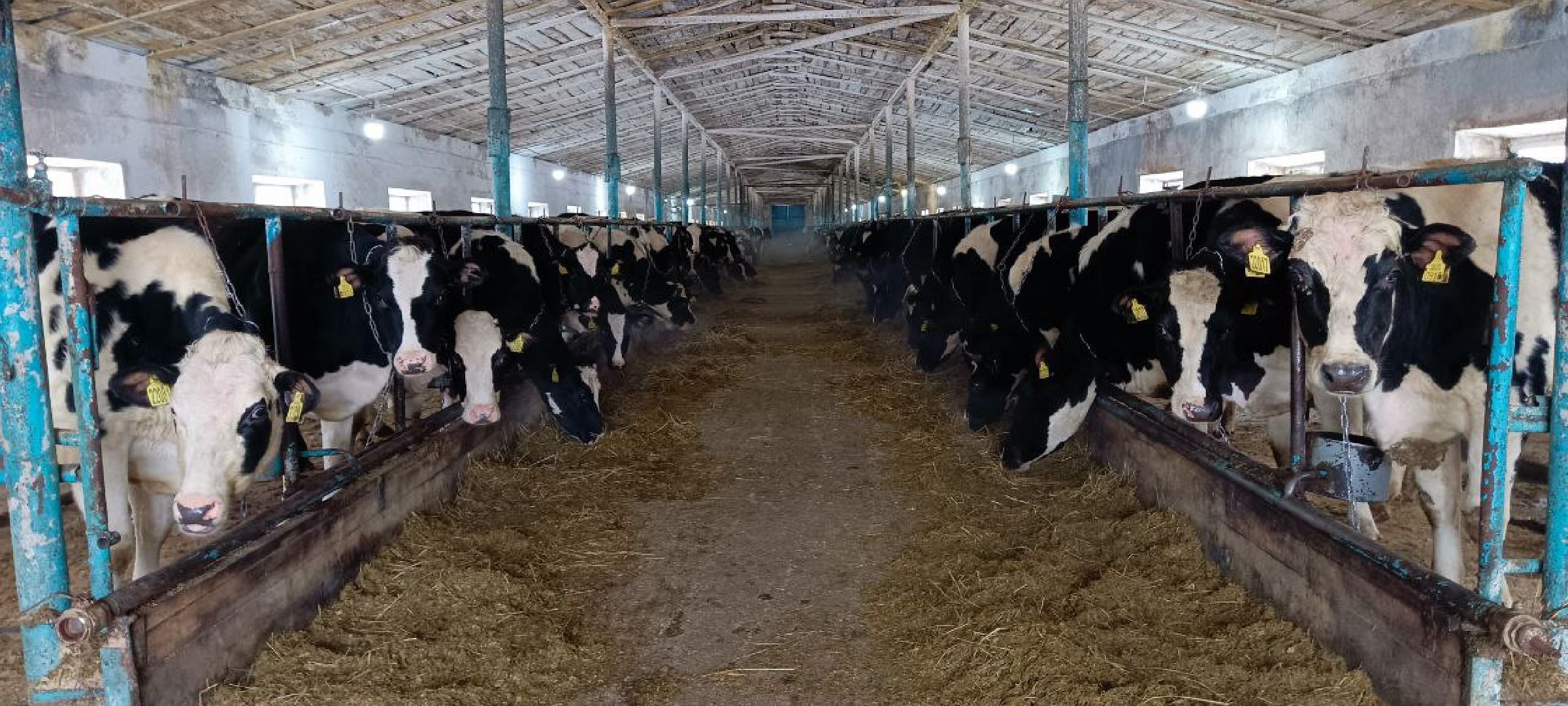 Дмитров, Агрофирма Дубна плюс, Минсельхоз,