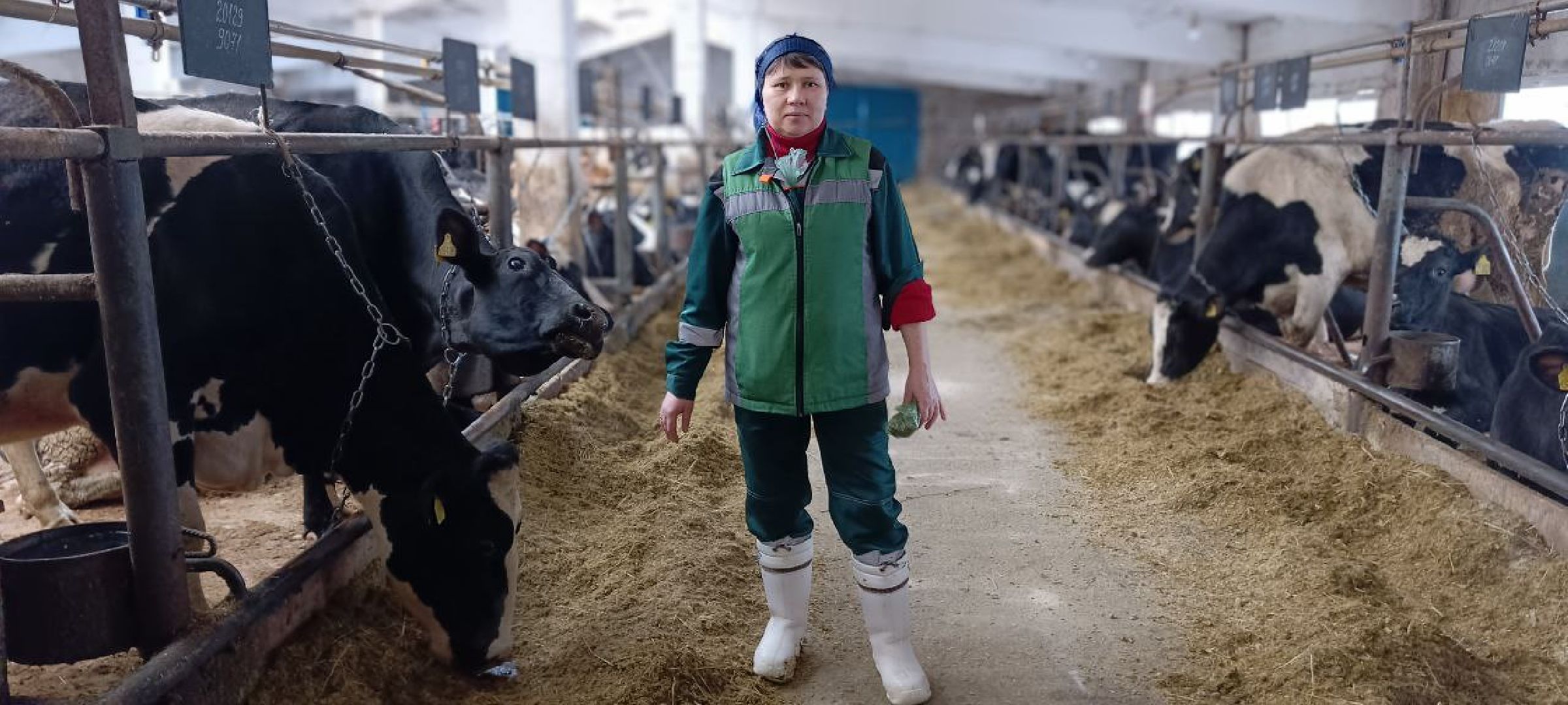 Дмитров, Агрофирма Дубна плюс, Минсельхоз,