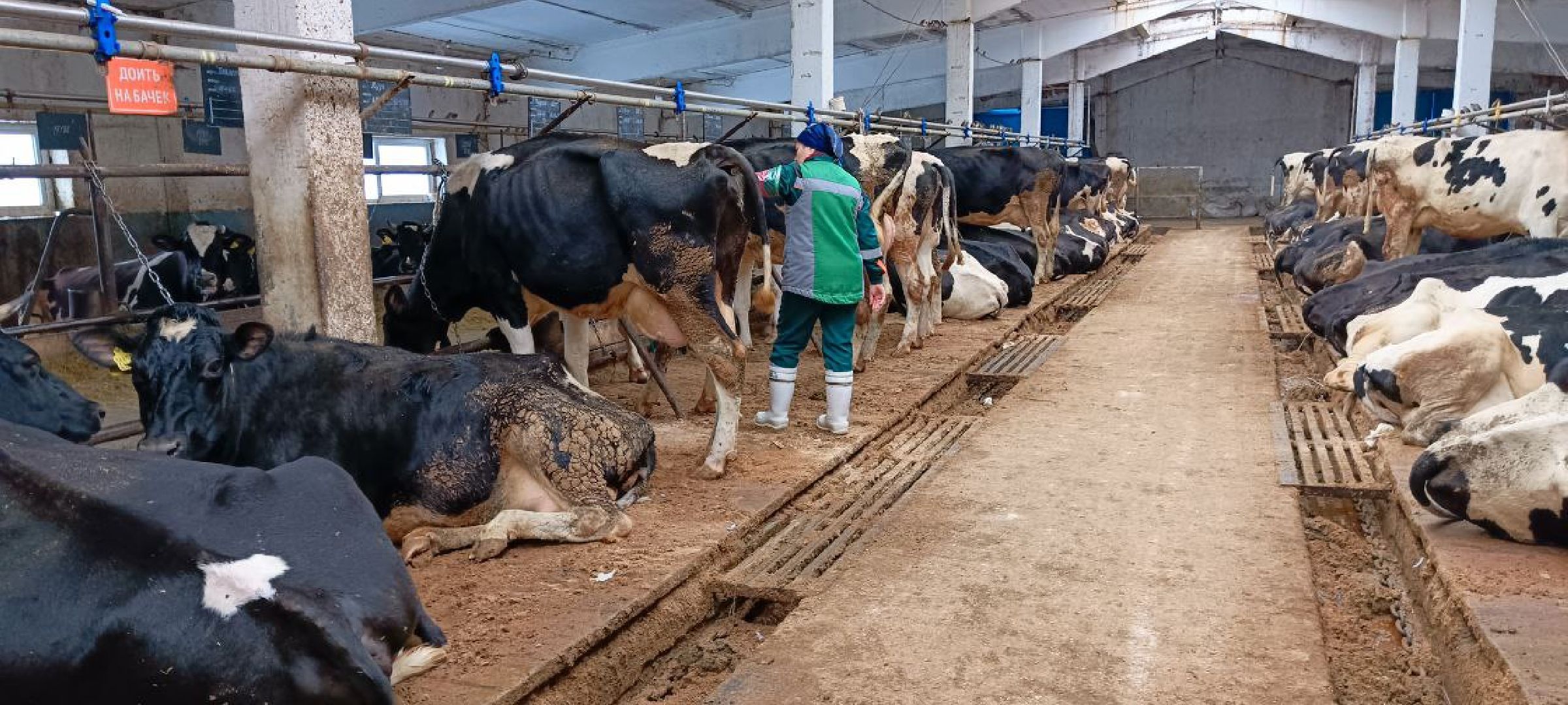 Дмитров, Агрофирма Дубна плюс, Минсельхоз,