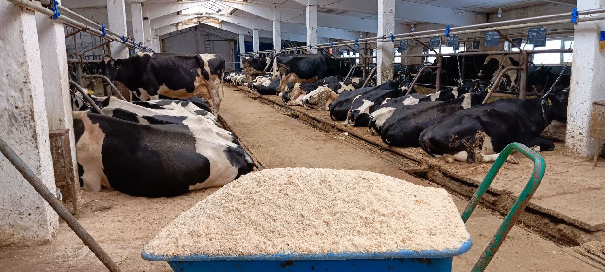 Дмитров, Агрофирма Дубна плюс, Минсельхоз,