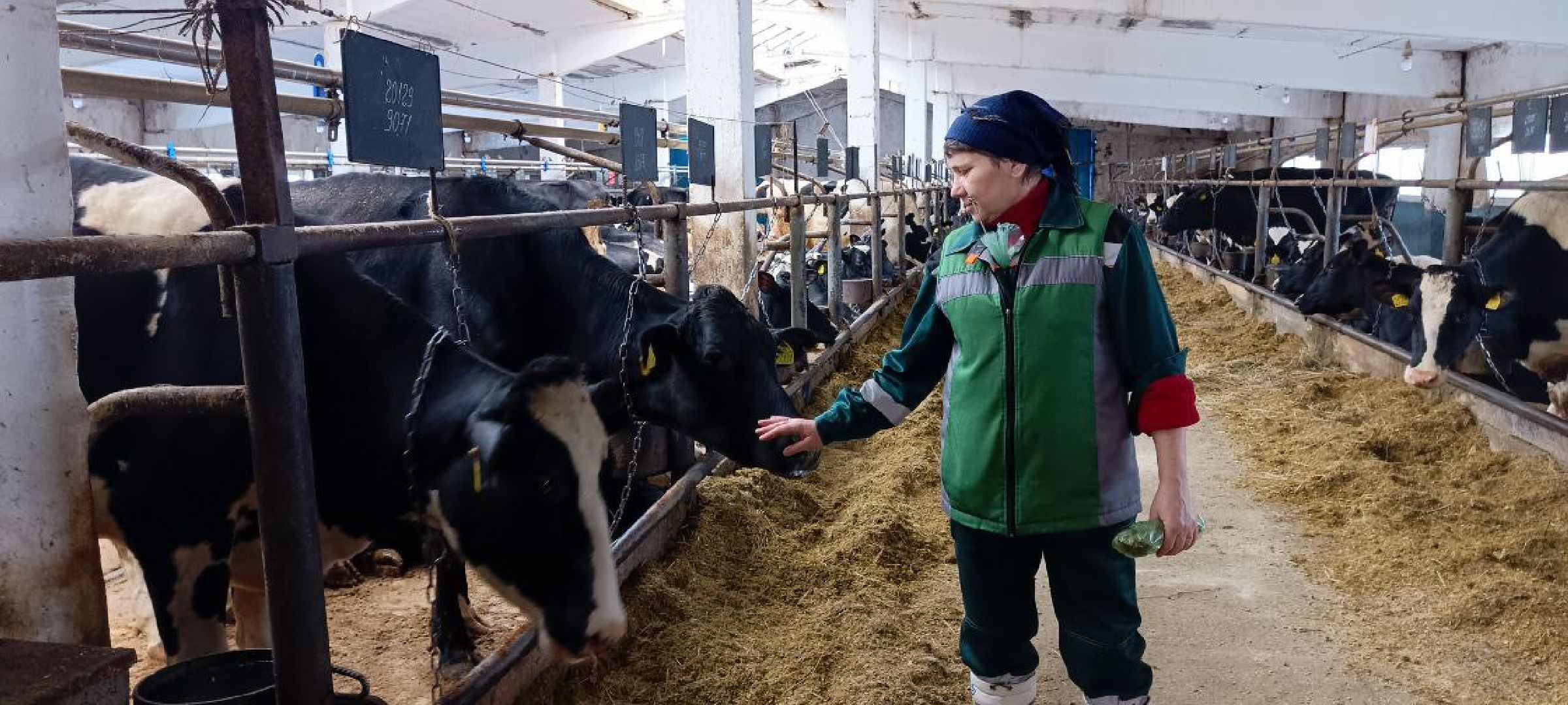 Дмитров, Агрофирма Дубна плюс, Минсельхоз,