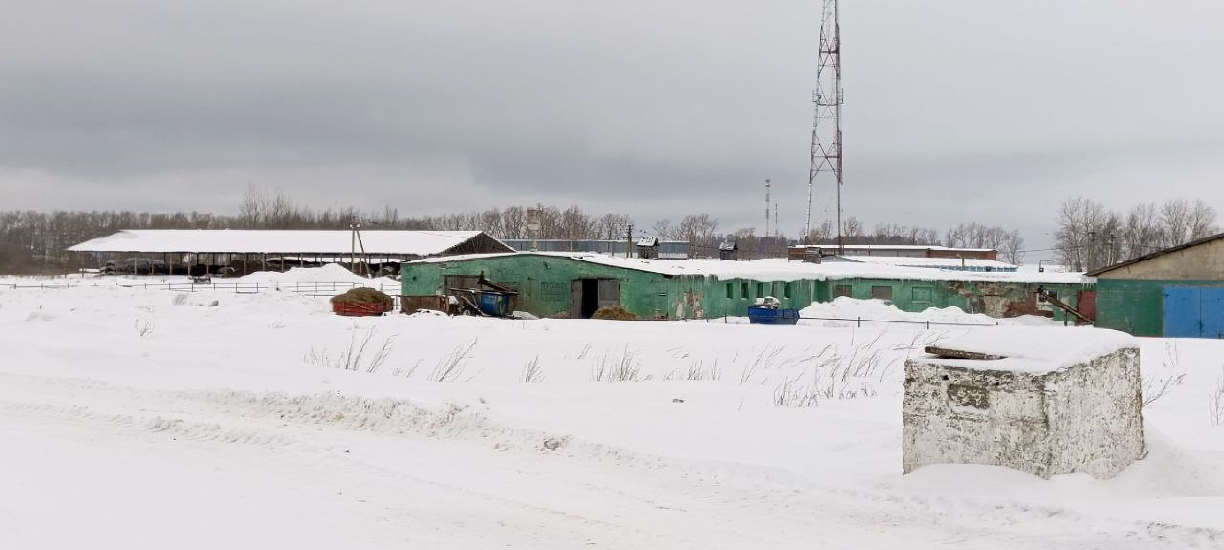 Дмитров, Агрофирма Дубна плюс, Минсельхоз,