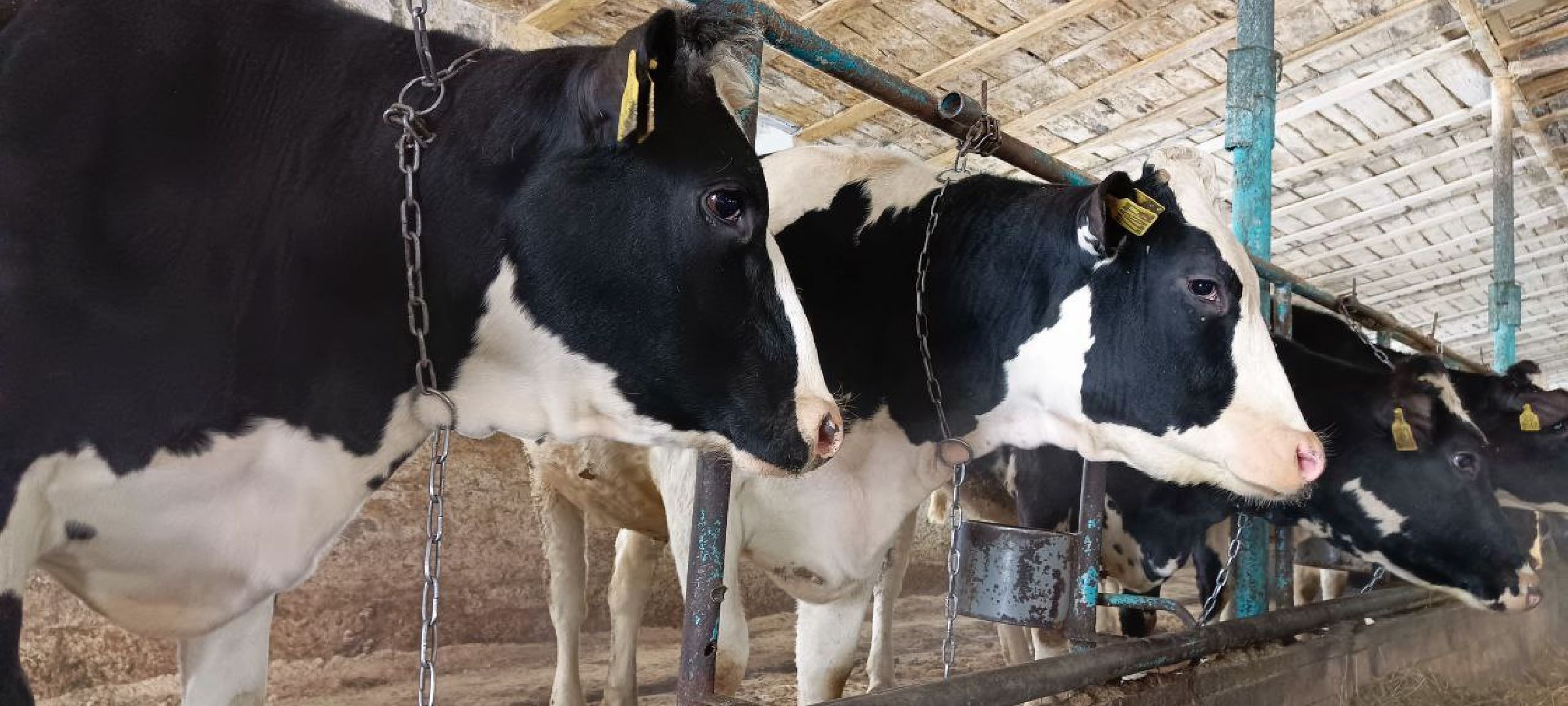 Дмитров, Агрофирма Дубна плюс, Минсельхоз,