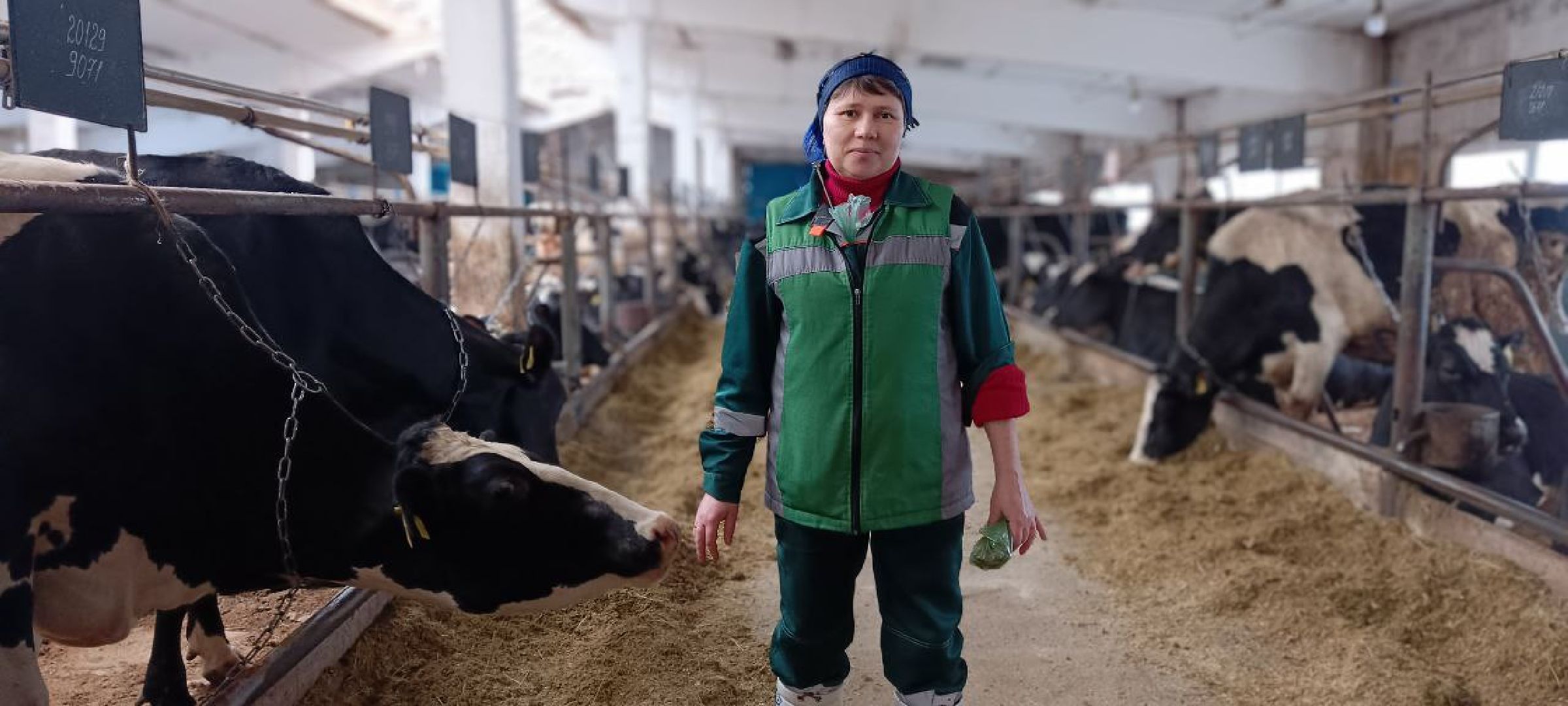 Дмитров, Агрофирма Дубна плюс, Минсельхоз,