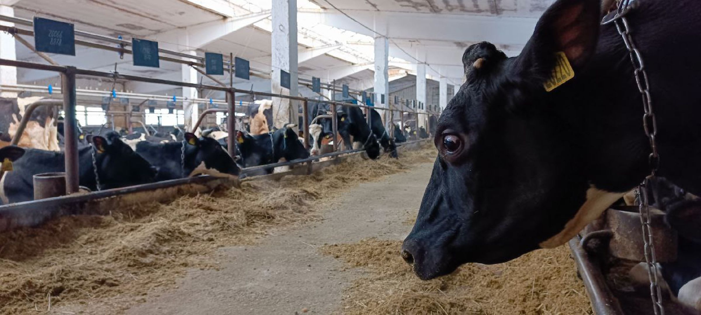 Дмитров, Агрофирма Дубна плюс, Минсельхоз,