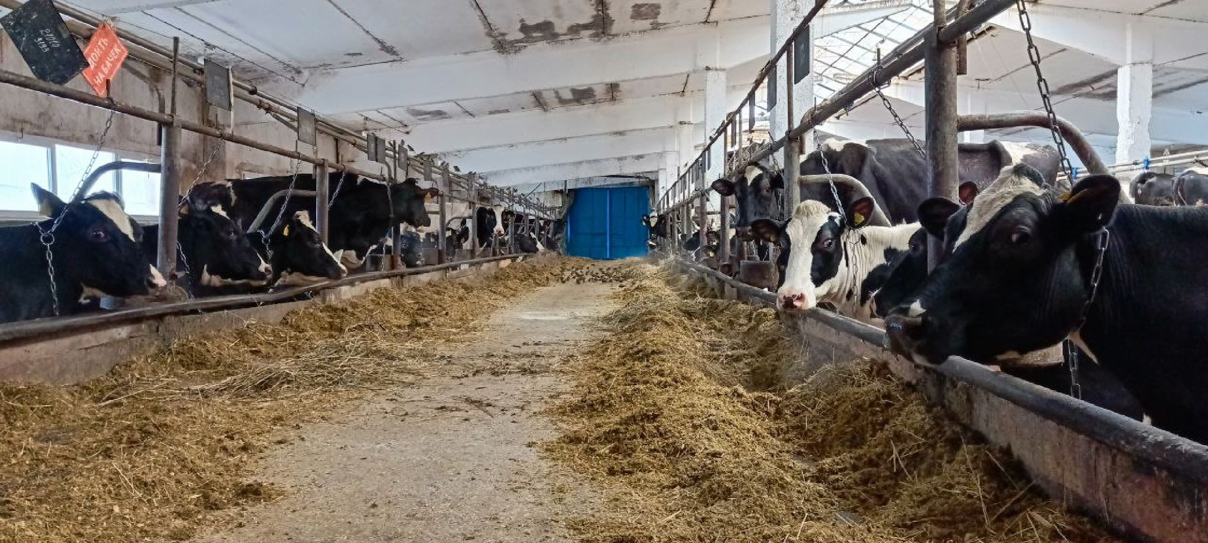 Дмитров, Агрофирма Дубна плюс, Минсельхоз,