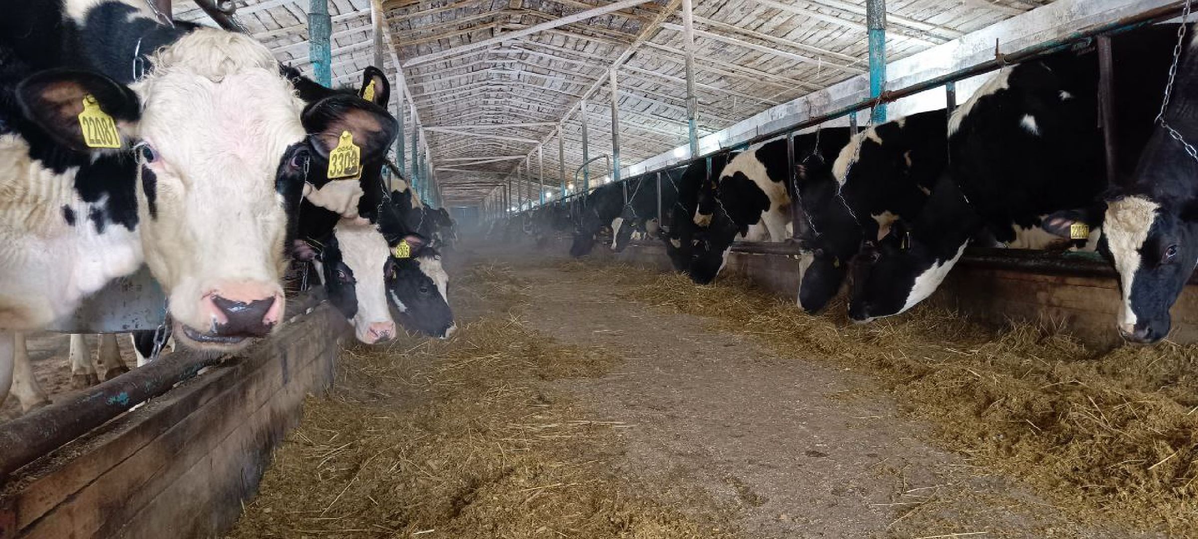 Дмитров, Агрофирма Дубна плюс, Минсельхоз,