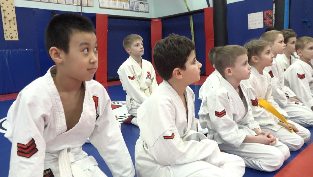 стадион Авангард, рукопашный бой, Домодедово