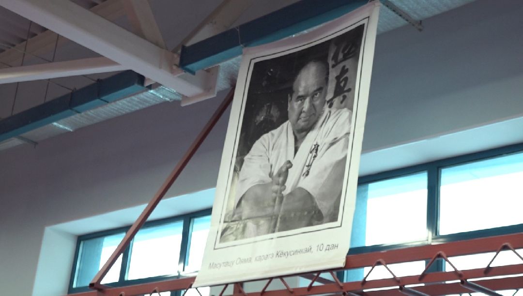 стадион Авангард, рукопашный бой, Домодедово