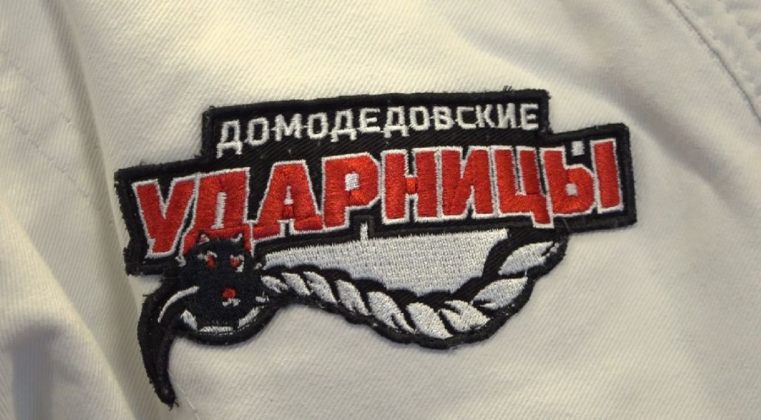 стадион Авангард, рукопашный бой, Домодедово