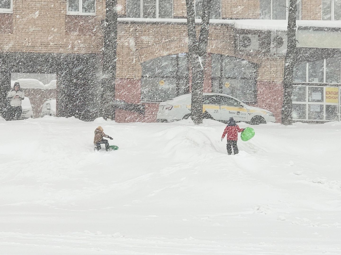 красноармейск, г.о. пушкинский, снегопад, циклон ольга,