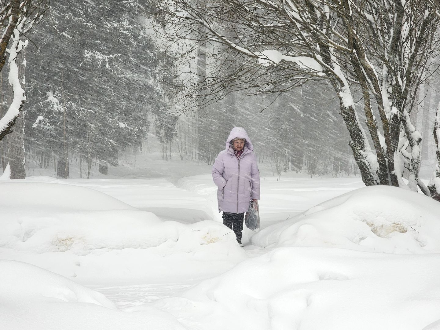 красноармейск, г.о. пушкинский, снегопад, циклон ольга,