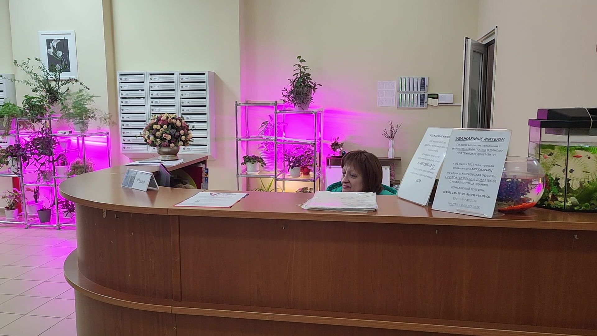 Реутов, ЖКХ, ремонт подъезда, плитка на стенах, жители выбирают,