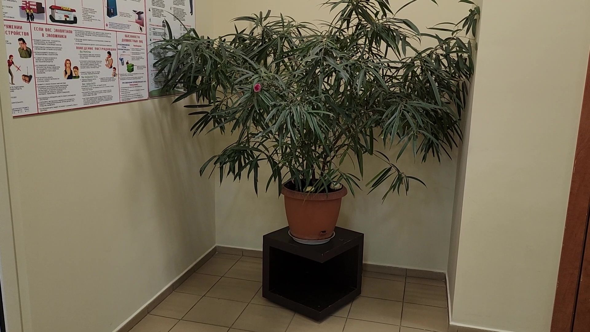 Реутов, ЖКХ, ремонт подъезда, плитка на стенах, жители выбирают,