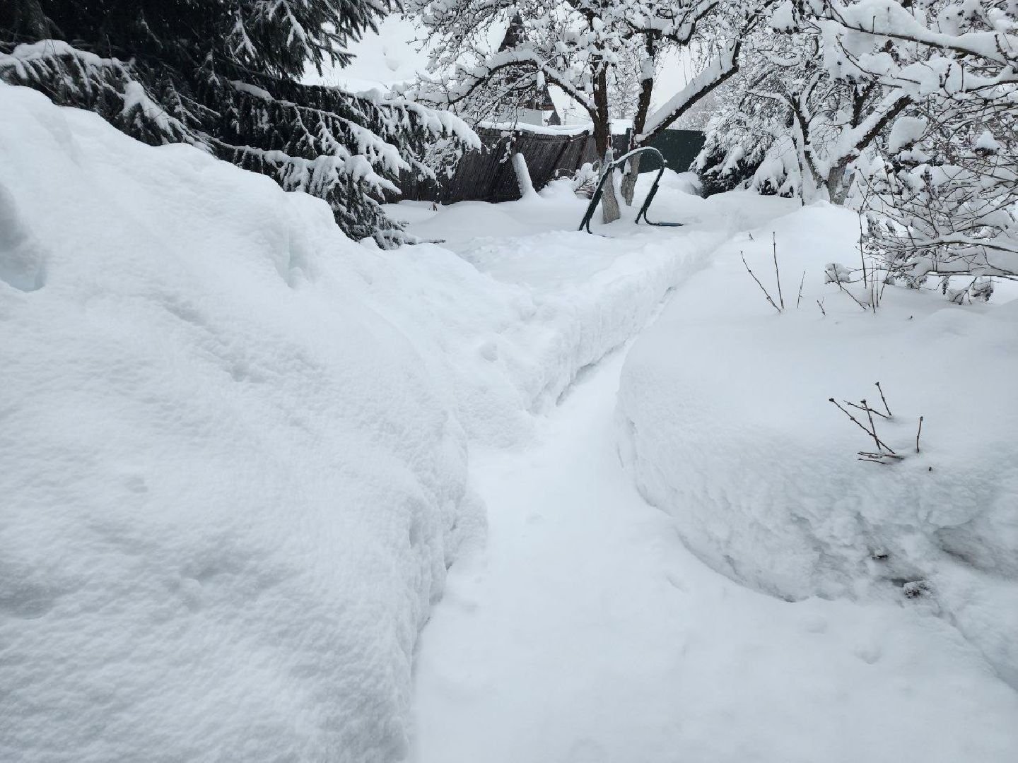 Солнечногорск, Уборка снега, Снегопад, Жители, Лопаты,