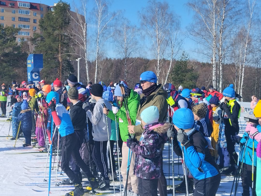 Триатлон, национальный проект