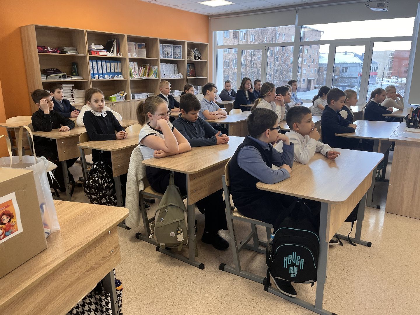 шаховская, приют, приют для животных, можайский приют,