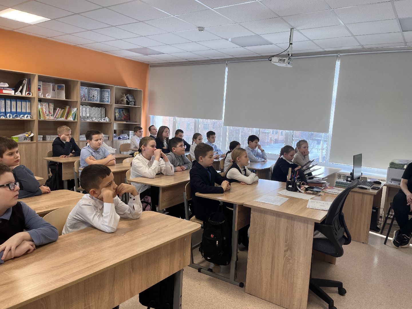 шаховская, приют, приют для животных, можайский приют,