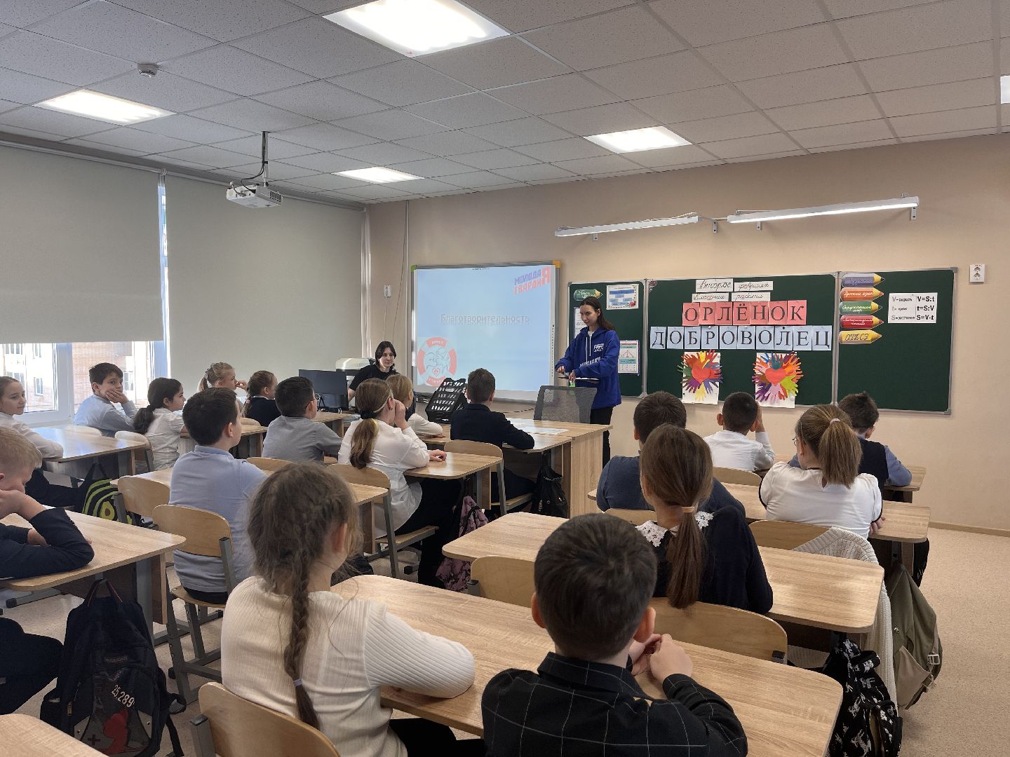 шаховская, приют, приют для животных, можайский приют,