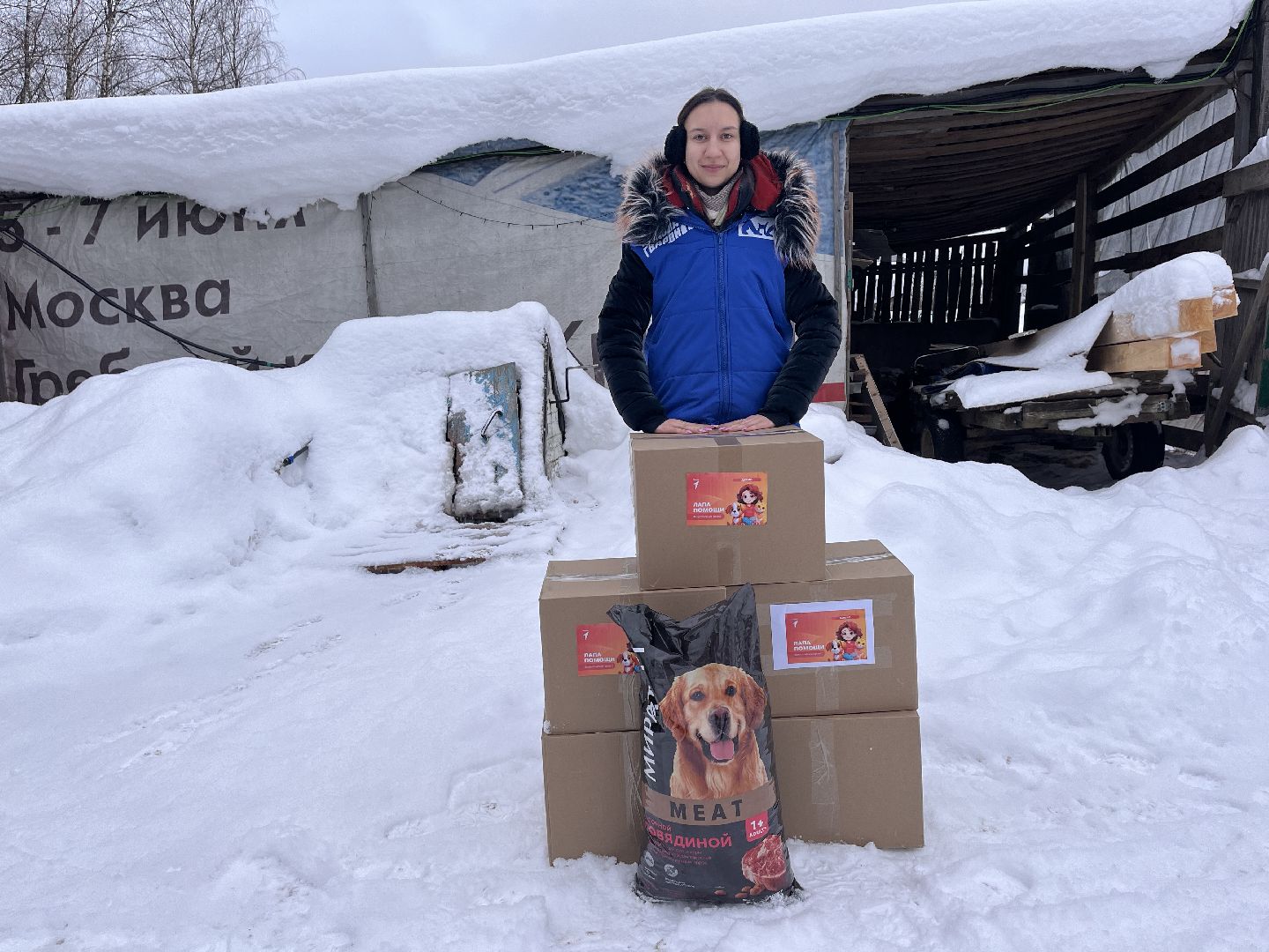 шаховская, приют, приют для животных, можайский приют,