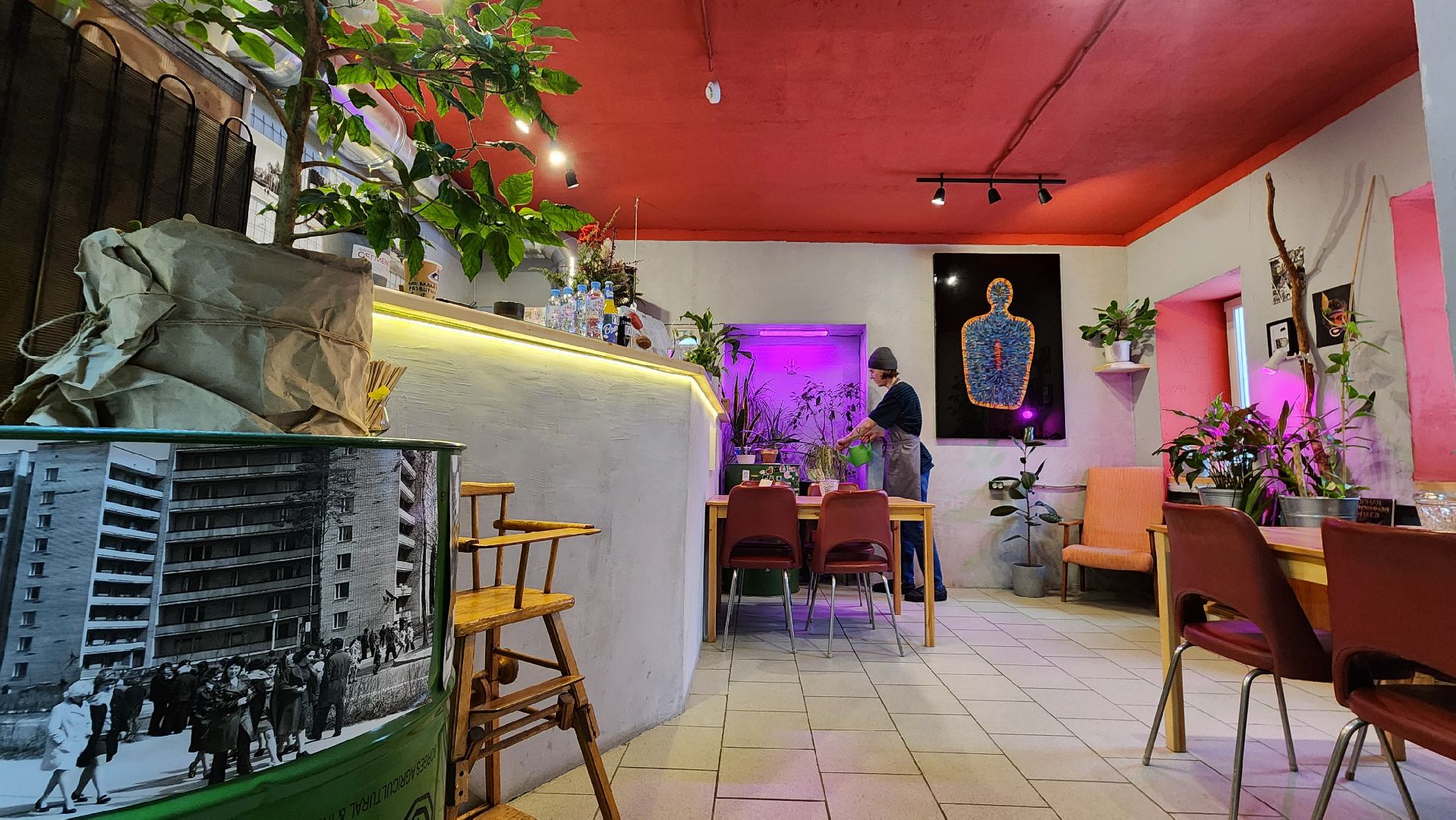 кафе, протвино, концептуальное кафе,