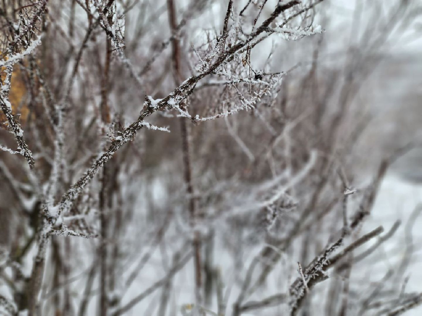 можайск, можайский городской округ, подмосковье, циклон, циклон ольга, люди, дороги, плохая видимость, погода,
