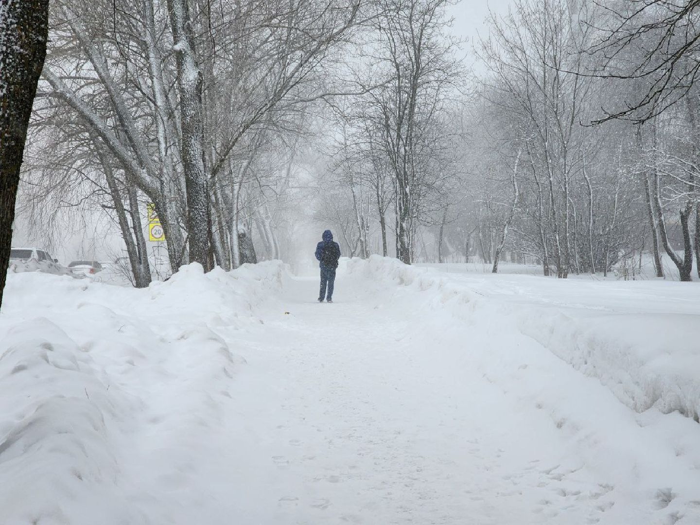 можайск, можайский городской округ, подмосковье, циклон, циклон ольга, люди, дороги, плохая видимость, погода,
