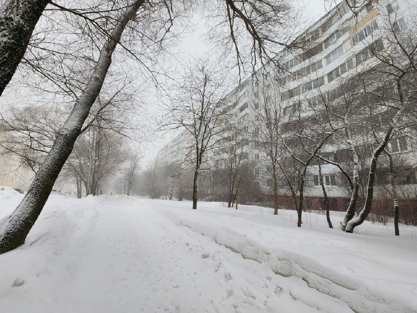 можайск, можайский городской округ, подмосковье, циклон, циклон ольга, люди, дороги, плохая видимость, погода,