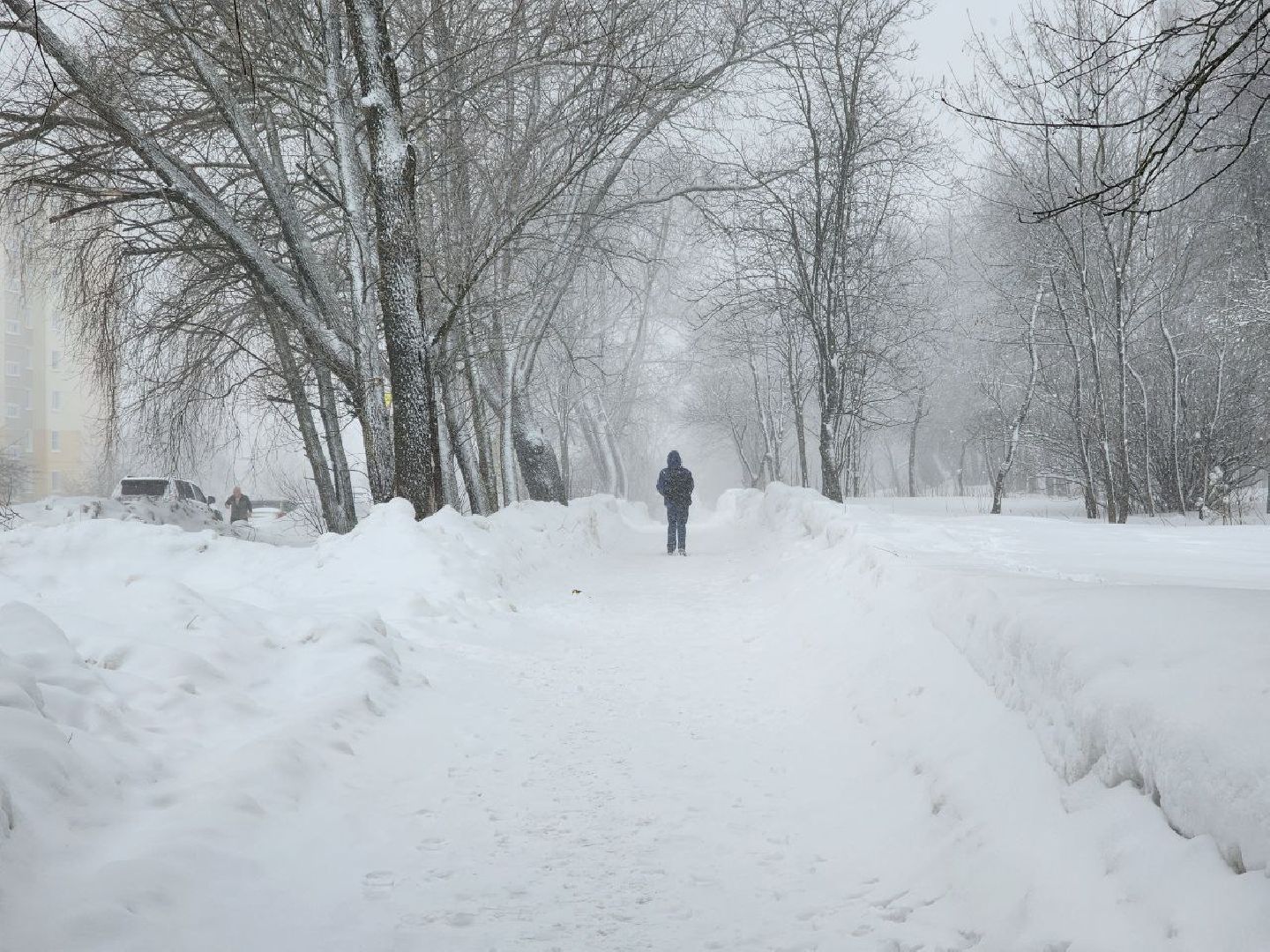 можайск, можайский городской округ, подмосковье, циклон, циклон ольга, люди, дороги, плохая видимость, погода,