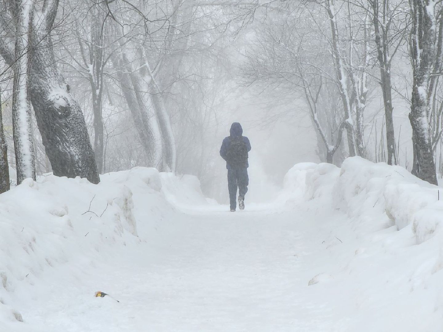 можайск, можайский городской округ, подмосковье, циклон, циклон ольга, люди, дороги, плохая видимость, погода,