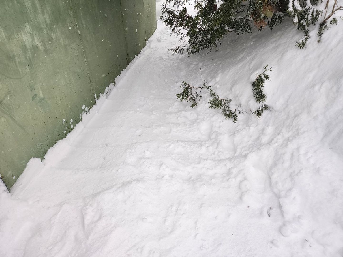 Солнечногорск, Снег, Уборка, Дети, Снегопад,