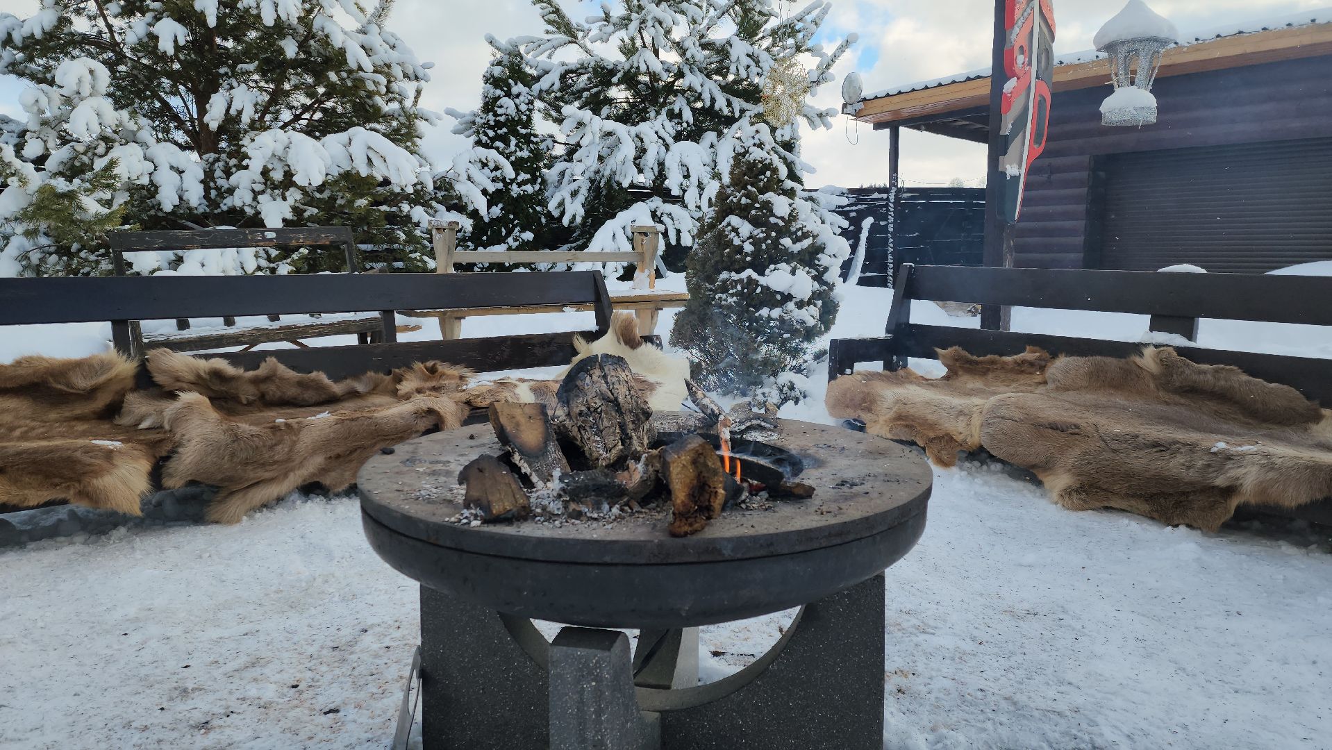 туризм, зима в подмосковье, туризм в подмосковье, руза, рузский городской округ, хаски, Рузская аляска,