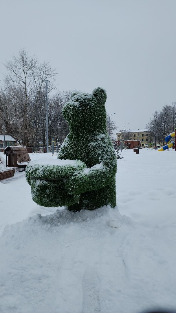 электросталь, мой город, волонтеры, волонтеры подмосковья, волонтерское движение, жкх, жкх подмосковья, уборка, уборка снега, уборка общественных территорий,