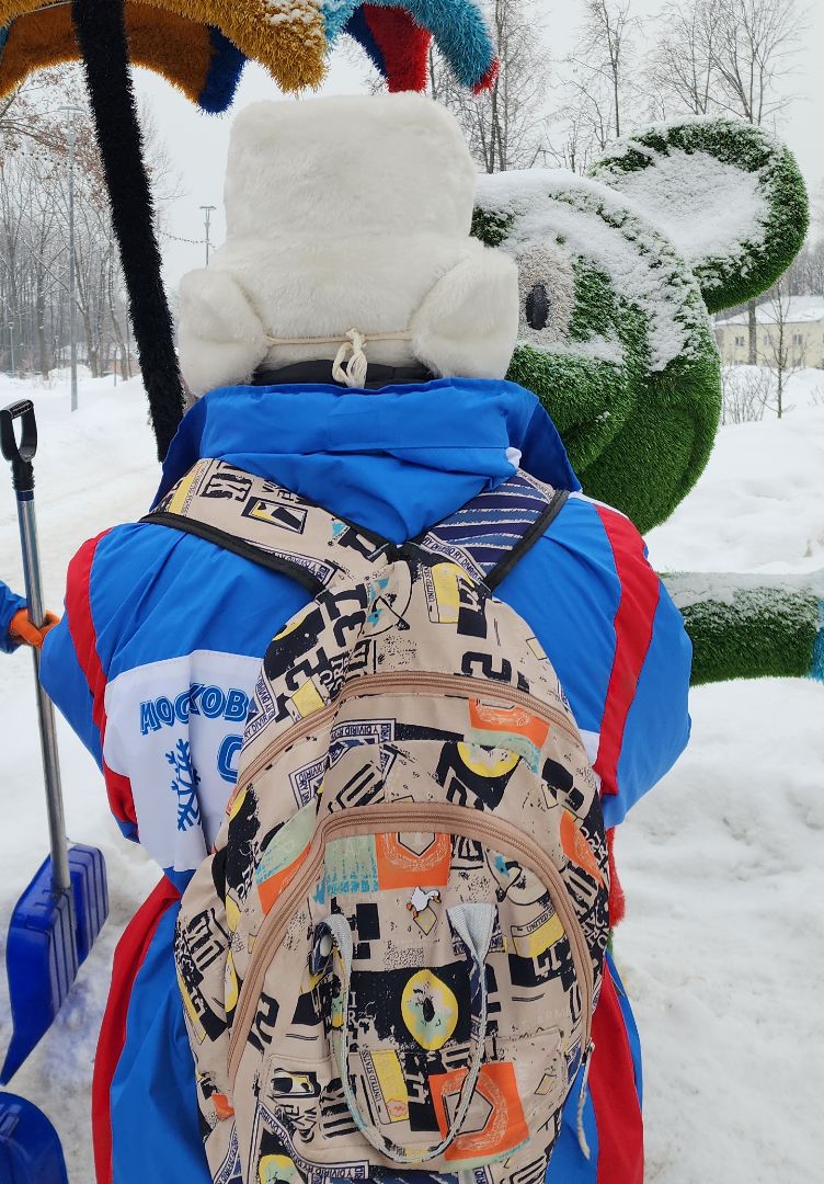 электросталь, мой город, волонтеры, волонтеры подмосковья, волонтерское движение, жкх, жкх подмосковья, уборка, уборка снега, уборка общественных территорий,