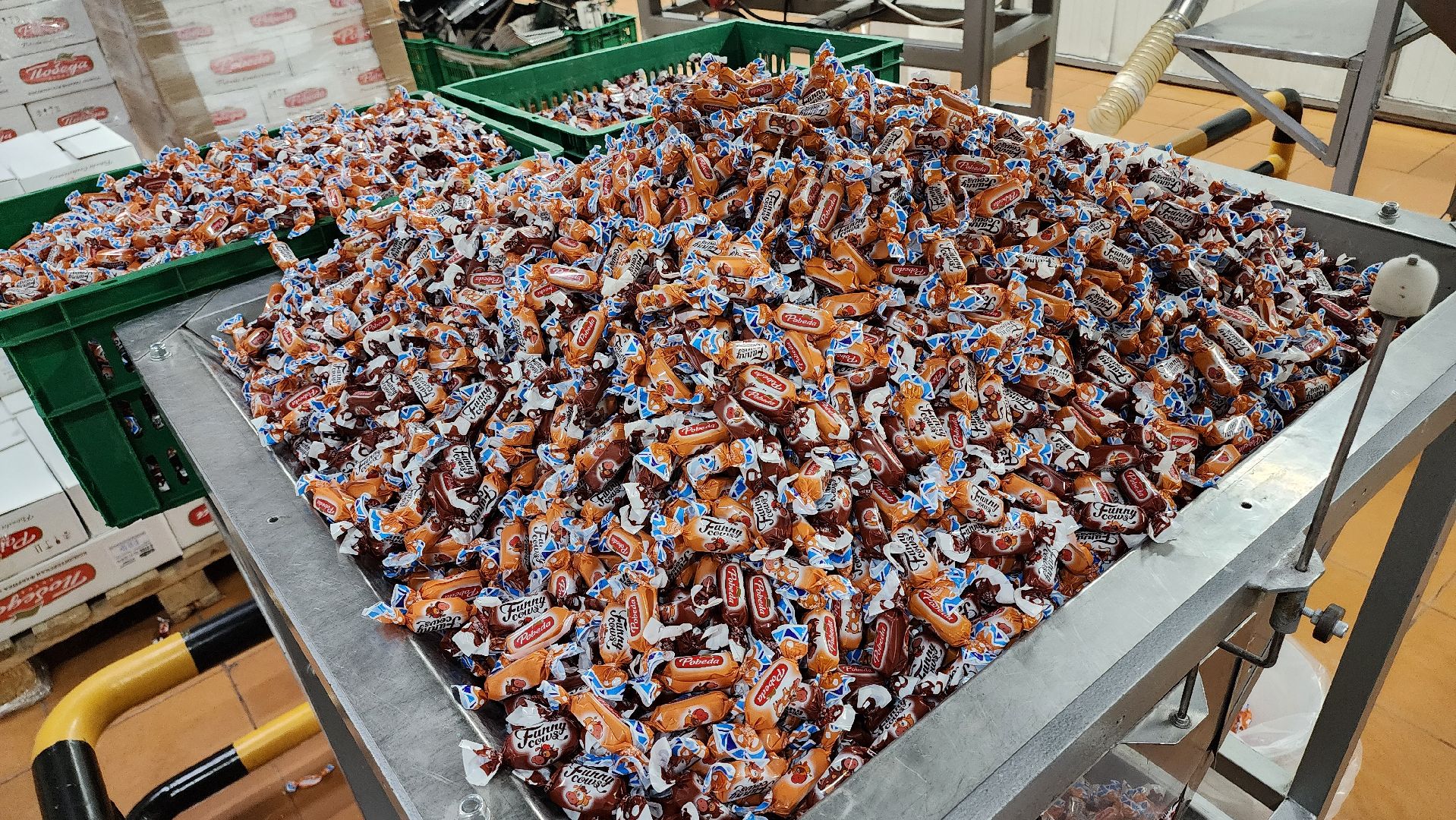 Егорьевск, Победа, Победа вкуса, Подмосковье, Московская область,