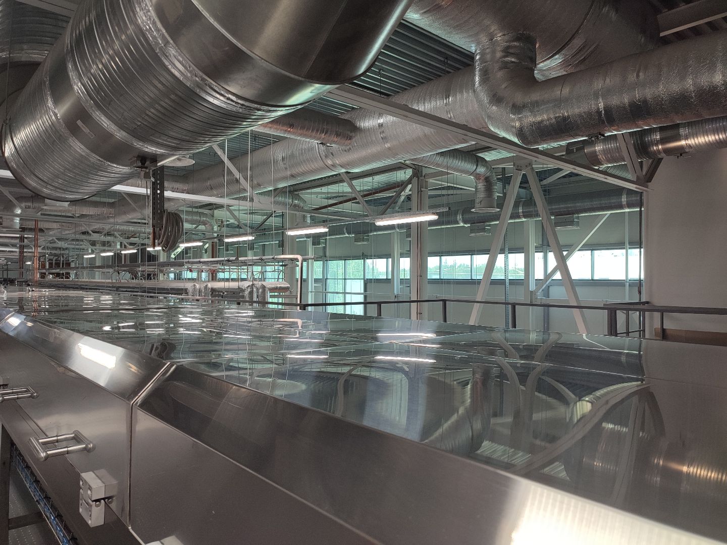 Егорьевск, Победа, Победа вкуса, Подмосковье, Московская область,