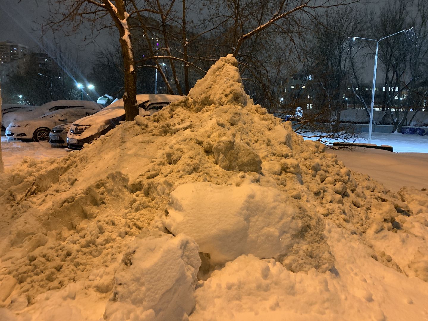 Балашиха, Подмосковье, ЖКХ, Снегопад, циклон ольга,