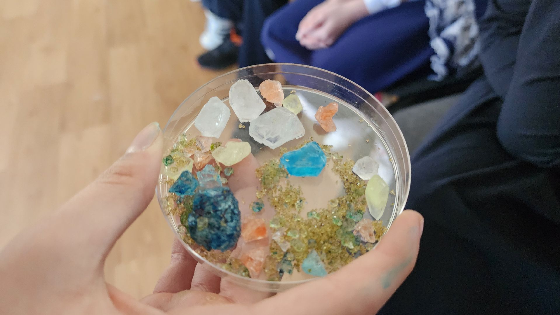 Подмосковье, Городской округ Пушкинский, Ивантеевка, образование, день науки,