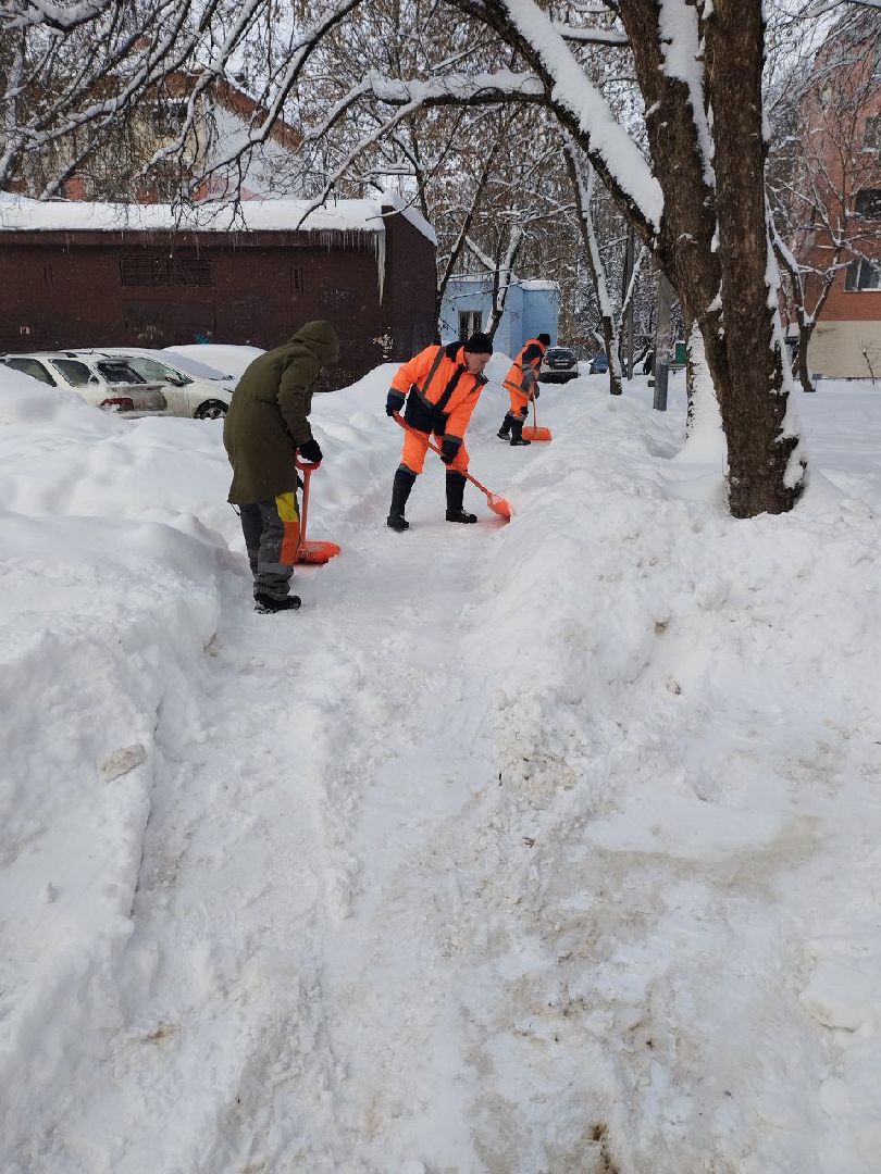 пушкино, снегоуборочная техника, уборка дворов, циклон ольга, снегопад,
