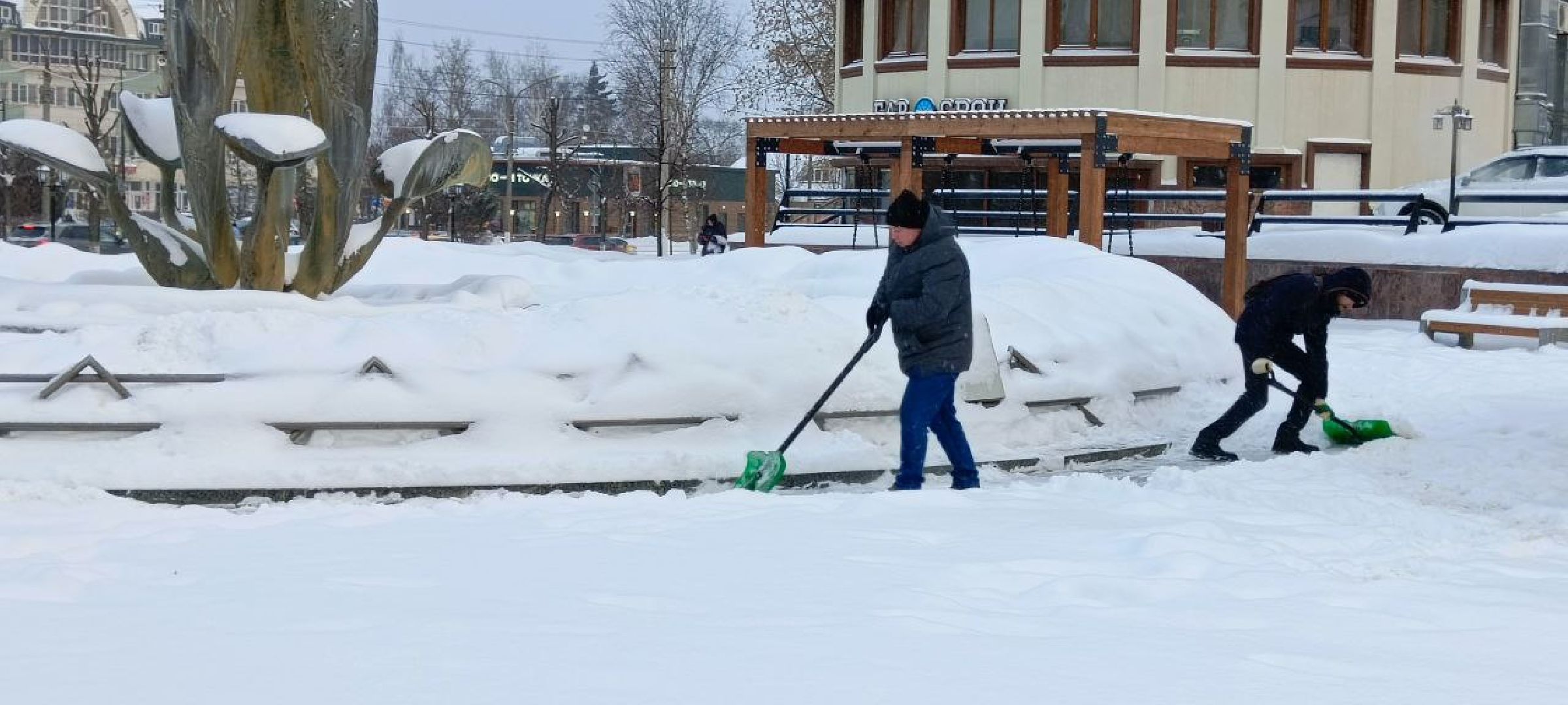 Дмитров, Уборка снега, МинЖКХ,