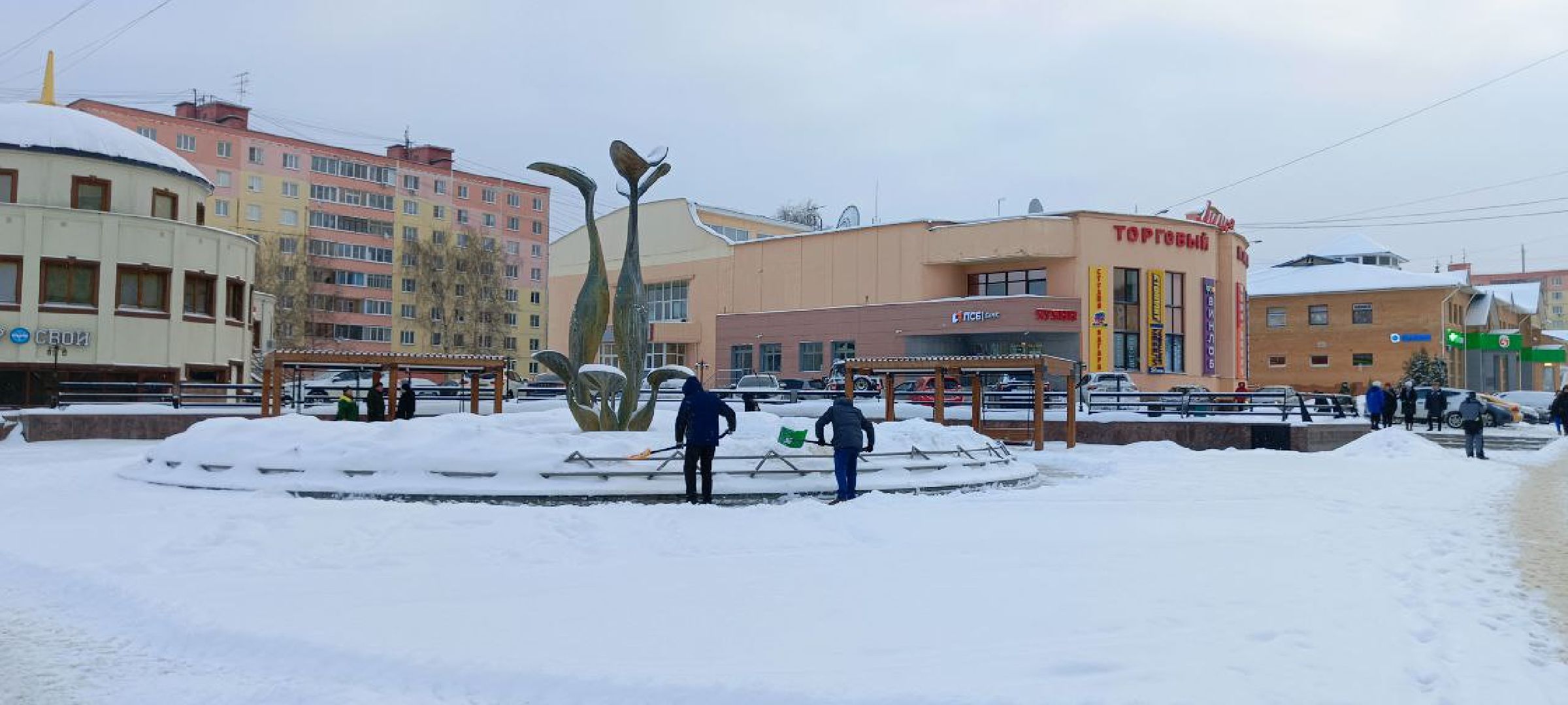 Дмитров, Уборка снега, МинЖКХ,