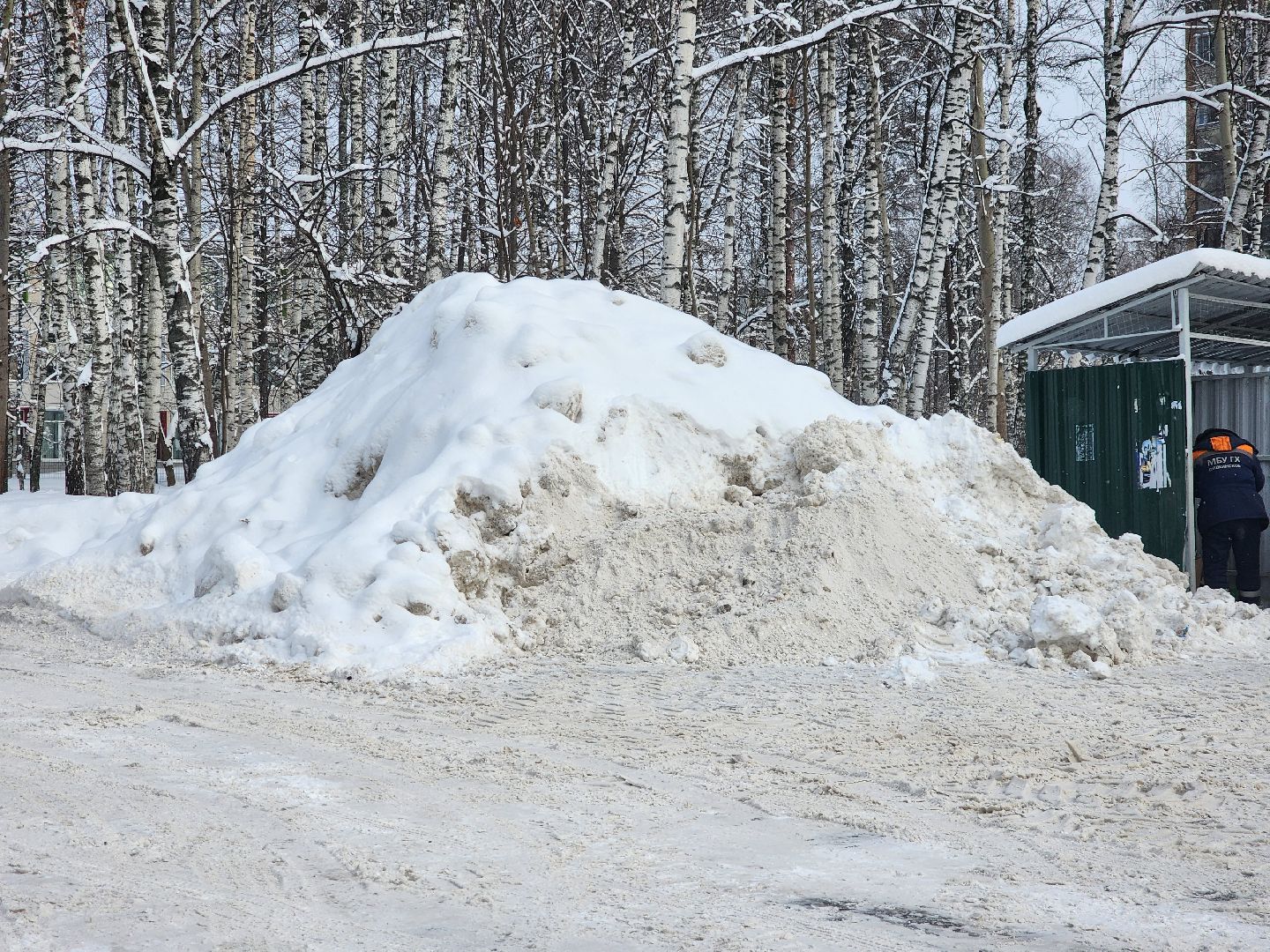 пушкино, уборка снега, коммунальная техника, циклон ольга,