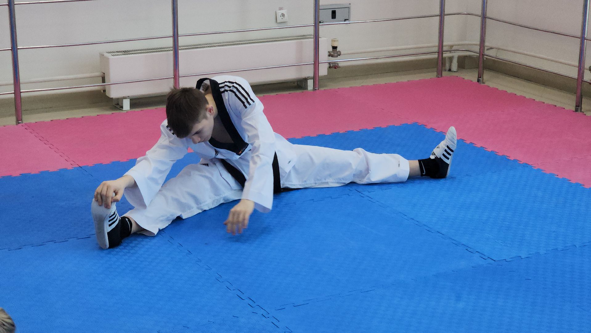 спорт подмосковья, тхэквондо, спортивная тренировка, соревнования, первенство московской области, руза, рузский городской округ,