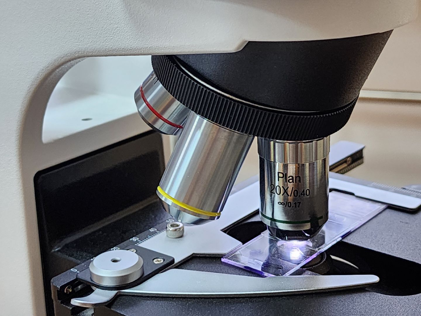 ОИЯИ, ЛРБ, Радиационная биология, День российской науки, Дубна,