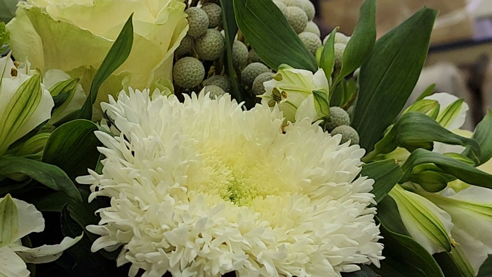 Дубна, здравоохранение, дубненская больница, Талдомская больница, Юбилей,