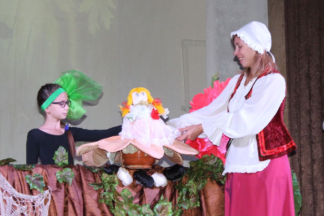 Домкультуры, Образование, Культура