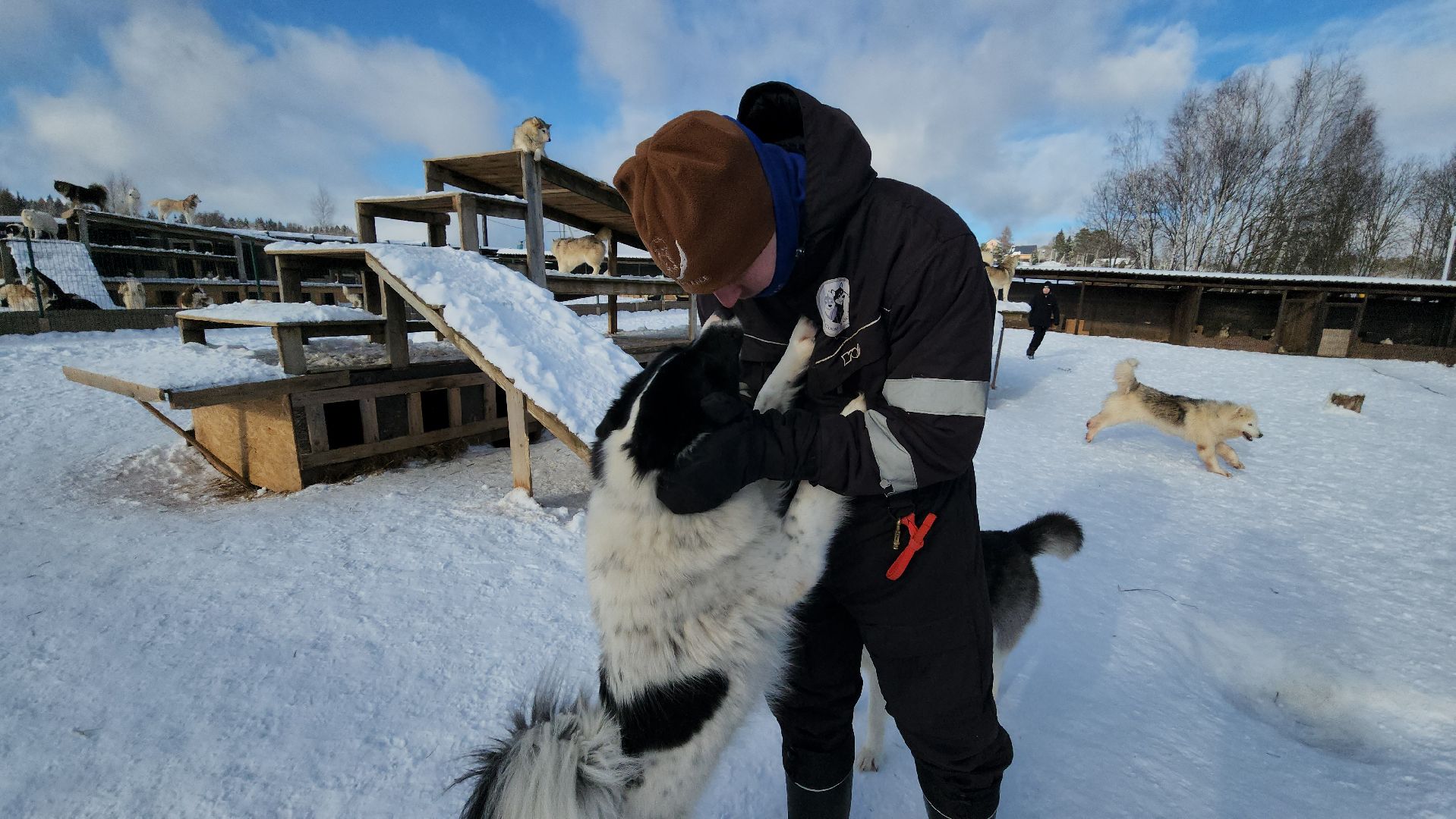 туризм в подмосковье, зима 2024, зима в подмосковье, руза, глэмпинг, рузский городской округ, московская область,